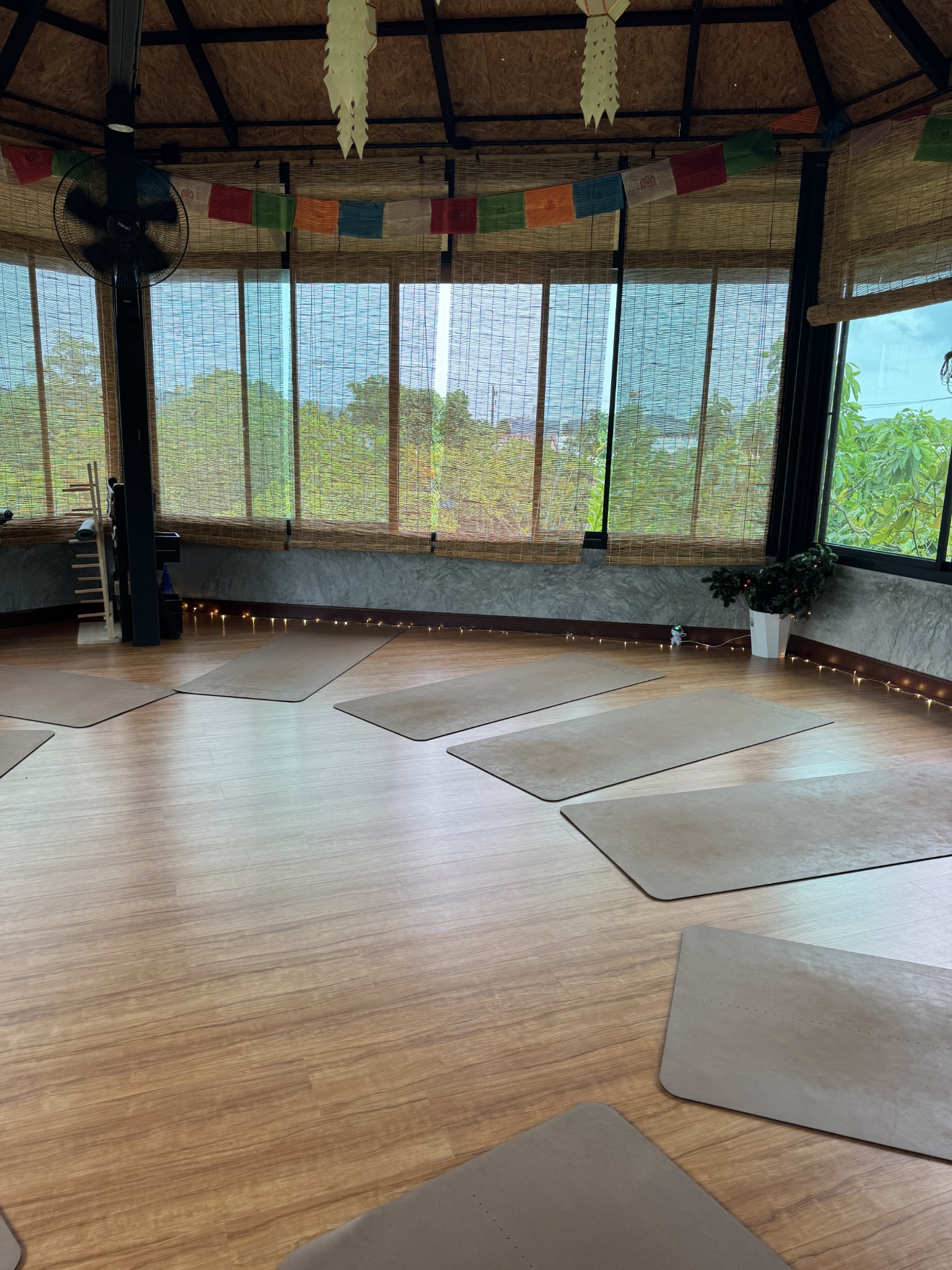 An empty practice hall with wooden flooring, yoga mats and natural light